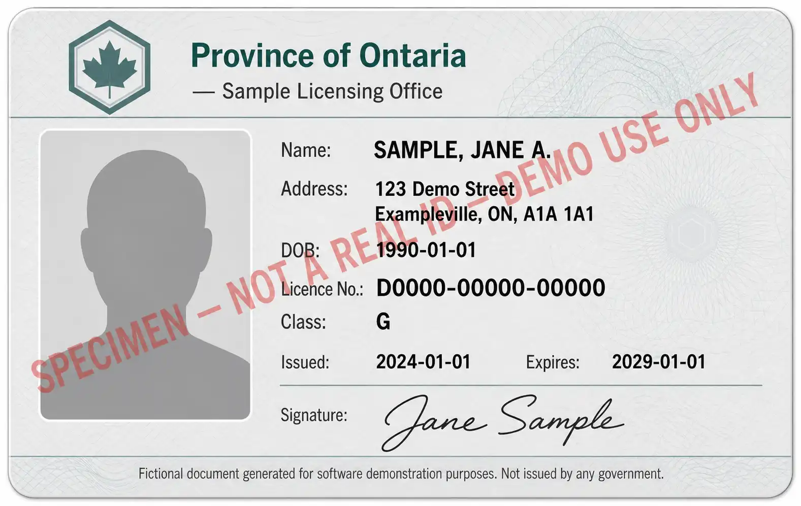 Fictional sample driver's licence — illustration only